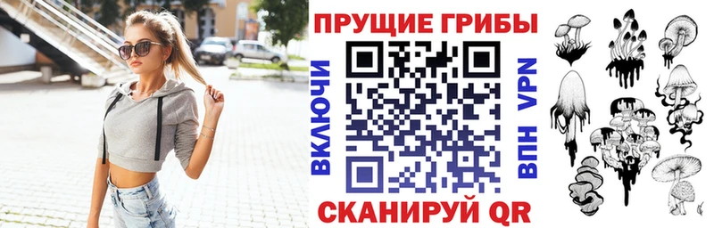 купить наркотик  shop клад  Псилоцибиновые грибы Psilocybine cubensis  Кашин 