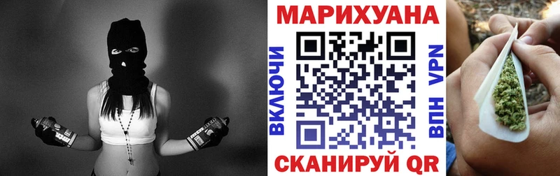 где можно купить   Кашин  МАРИХУАНА план 